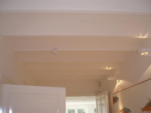 Spuitwerk gewelfd plafond
